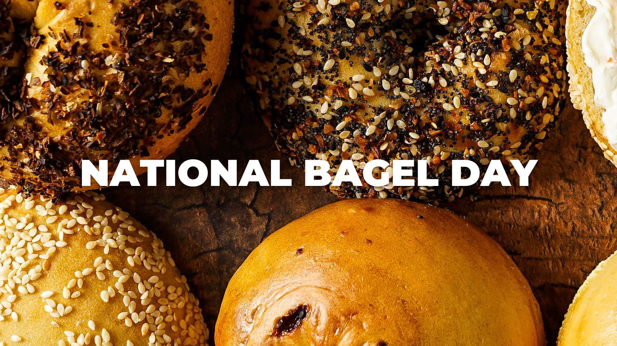National Bagel Day and the best bagels in NYC!
