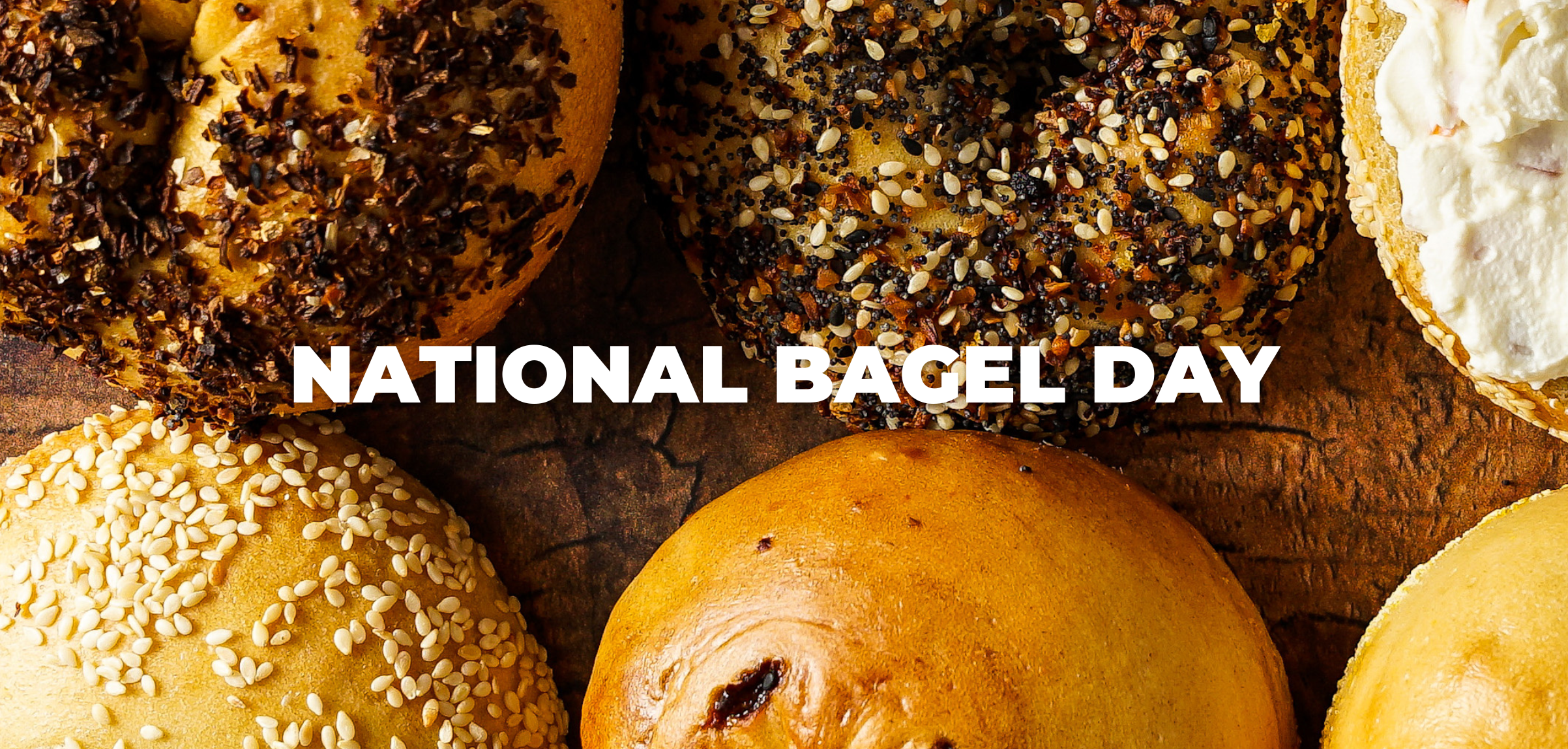 National Bagel Day and the best bagels in NYC!
